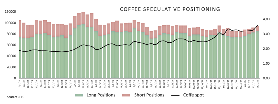 Global Battery Metals 公司宣布成功实施 10 比 1 的股份合并